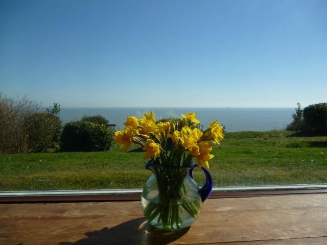 Daffs_%26_sea_view.JPG